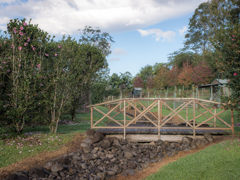 Recycling and Upcycling