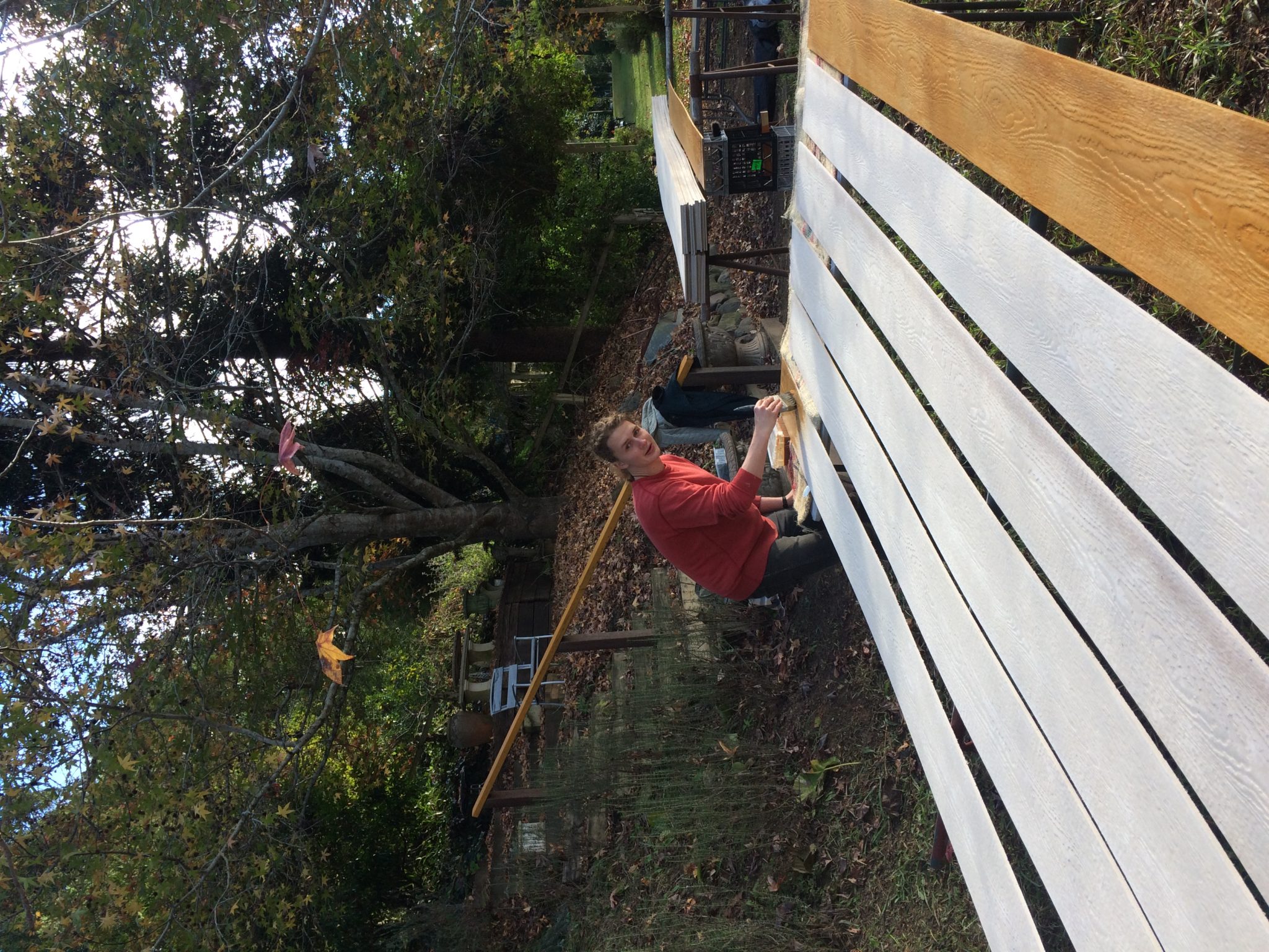 New Roof for Dove Aviary! | Garden of Light - Roof Over Aviary